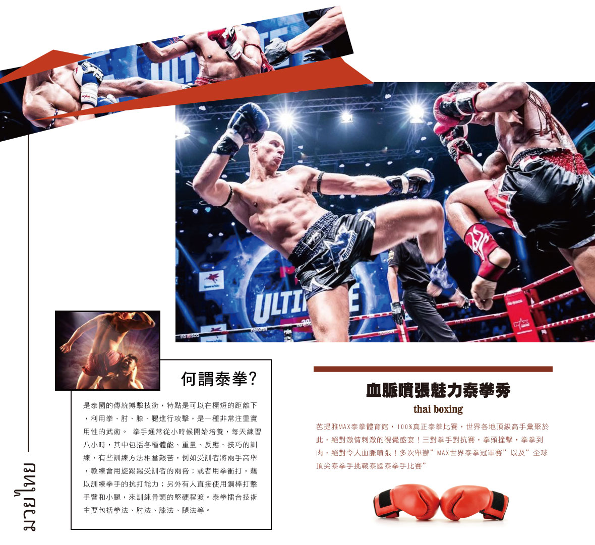 泰拳藝術表演秀