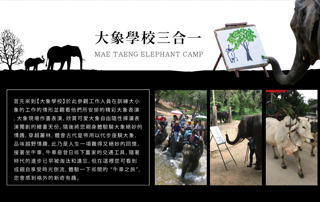 MAE TAENG ELEPHANT CAMP大象學校三合一
