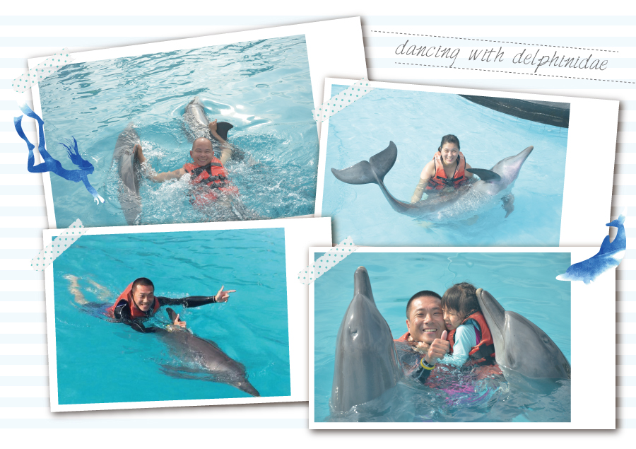 海豚共遊照片