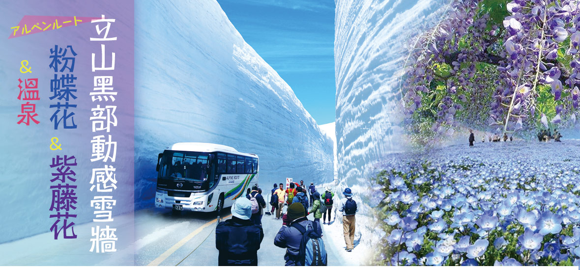 2023立山黑部動感雪牆粉蝶紫藤花溫泉五日(長榮)-世興旅行社