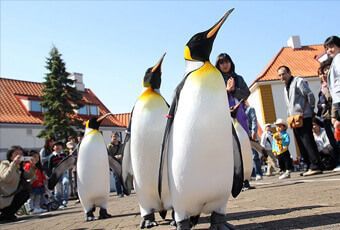 北海道登別尼克斯海洋公園