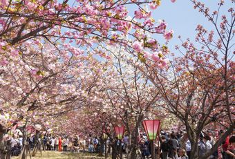 大阪造幣局博物館