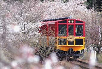 京都嵐山嵯峨野