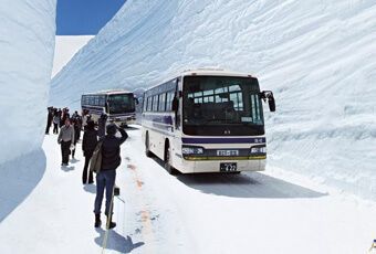 黑部立山(立山黑部)雪之大谷