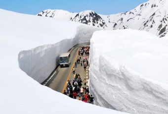 黑部立山(立山黑部)雪壁