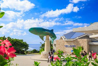 沖繩美ら海水族館