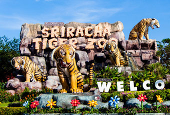 芭達雅龍虎園Sriracha Tiger Zoo