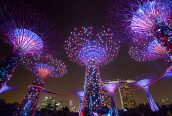 新加坡濱海灣南花園