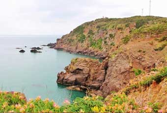 山東雞鳴島