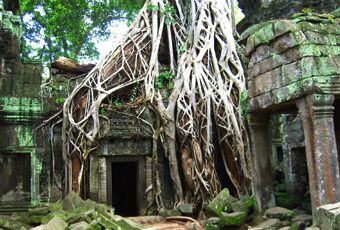 吳哥窟塔普倫廟Taprohm Temple