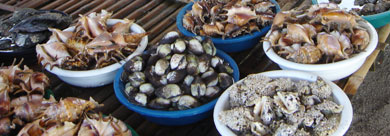 宿霧的風味菜餚