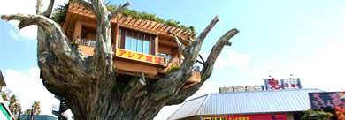 沖繩樹包厝