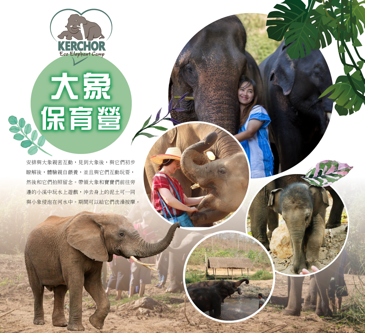 大象保育營