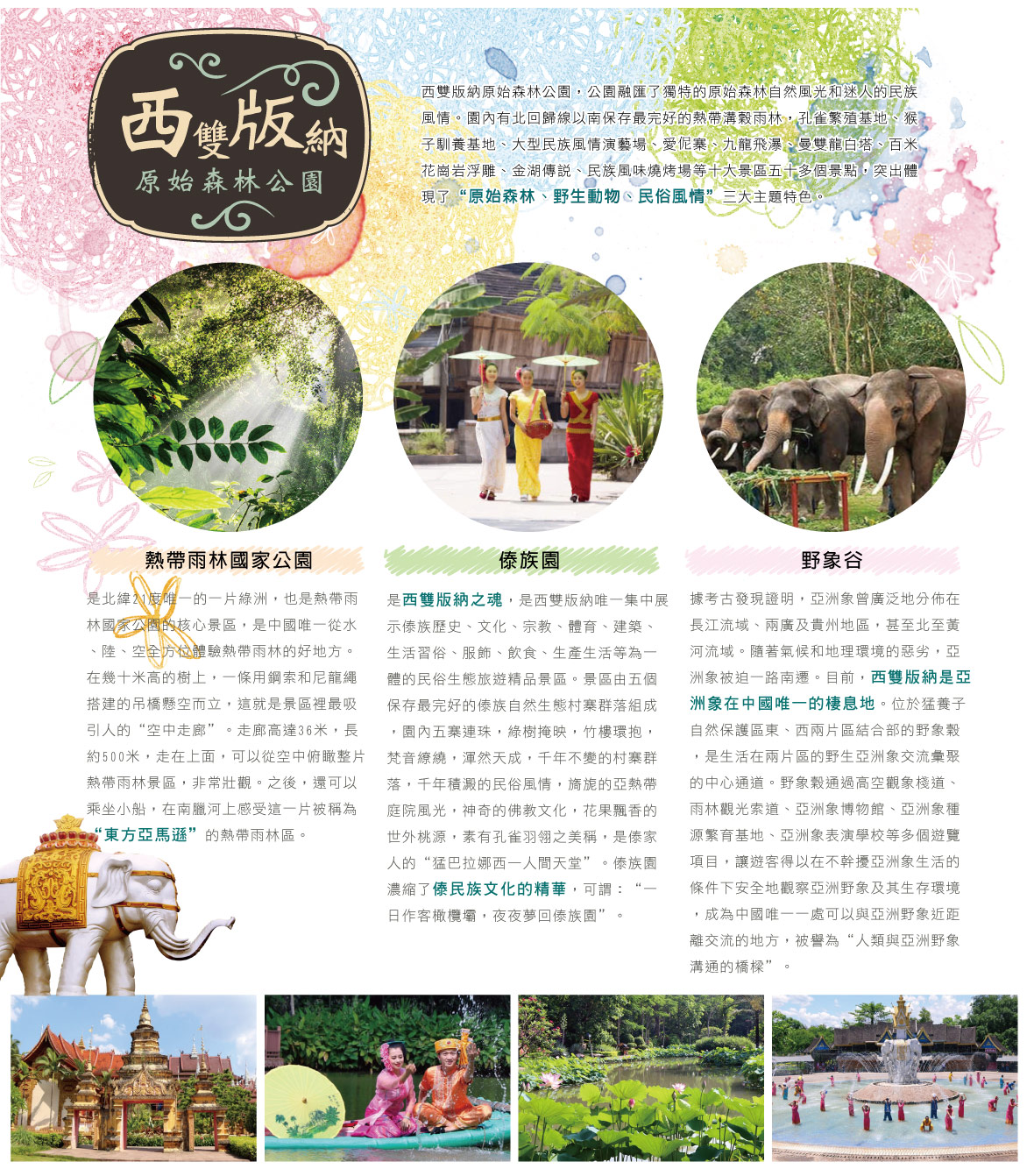 西雙版納