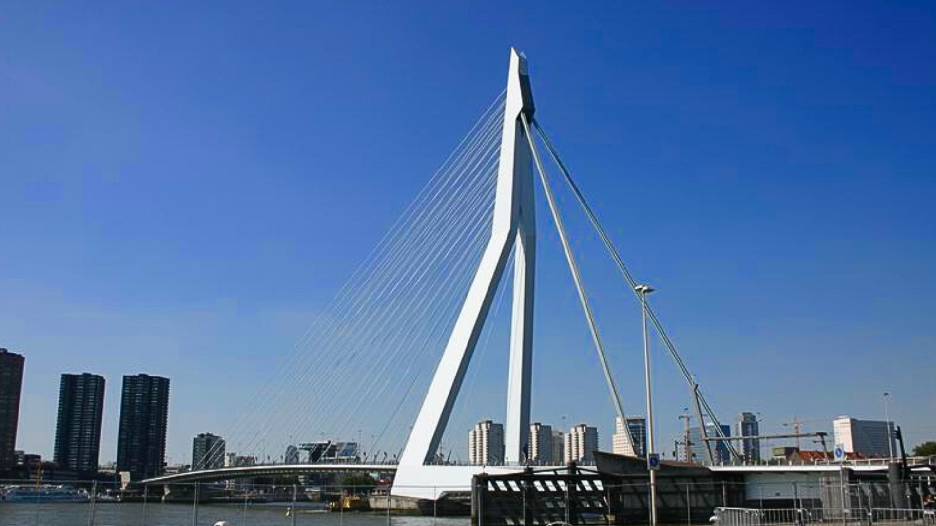 鹿特丹氣勢磅礴的伊拉斯謨橋天鵝橋