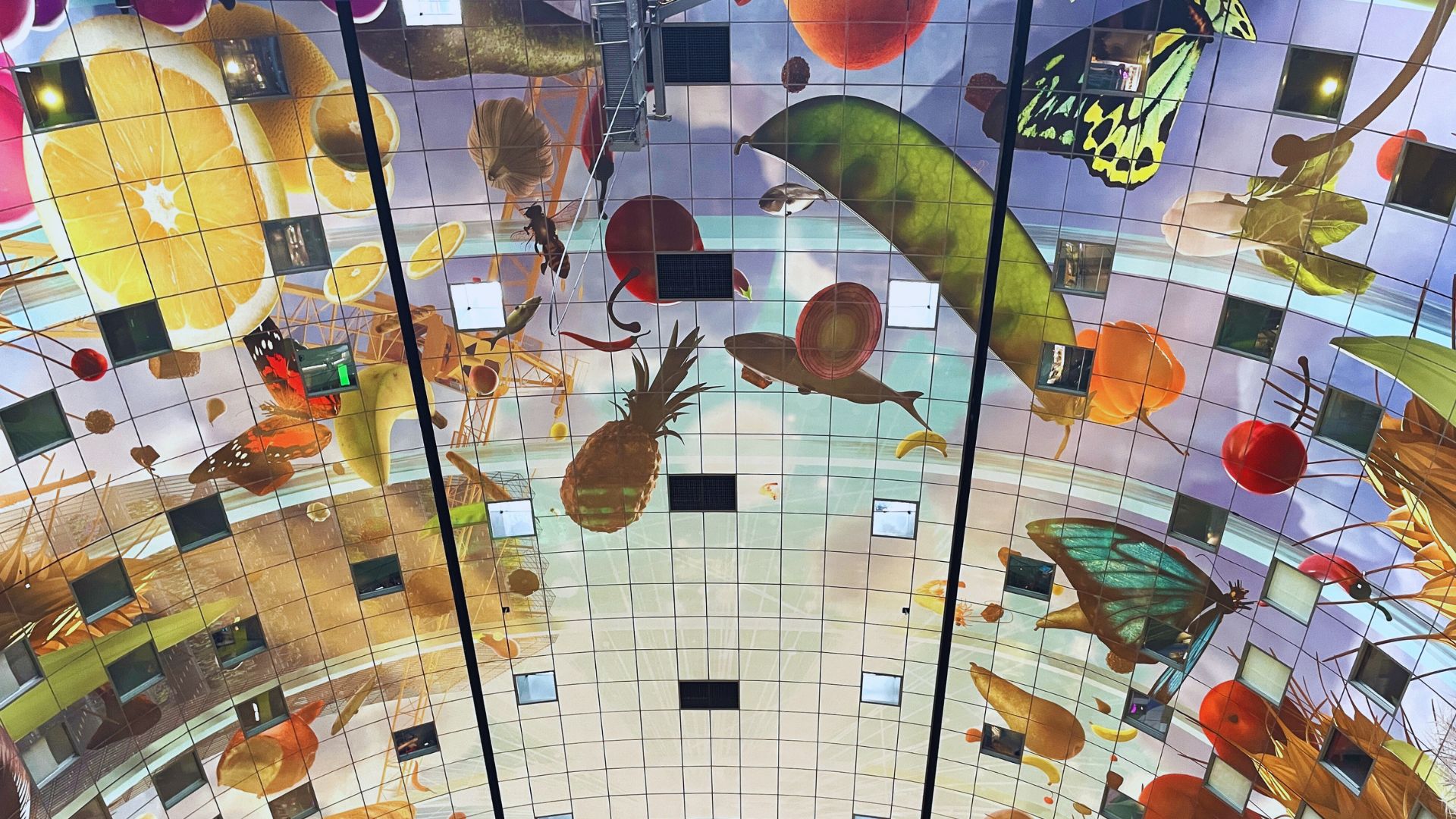 從雷克雅維克啟航追尋幸福北極光