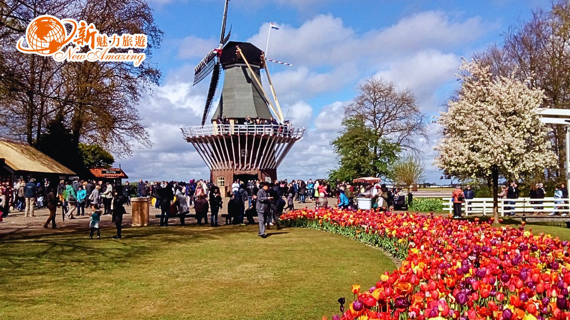 世界最大的春日花園庫肯霍夫鬱金香花園