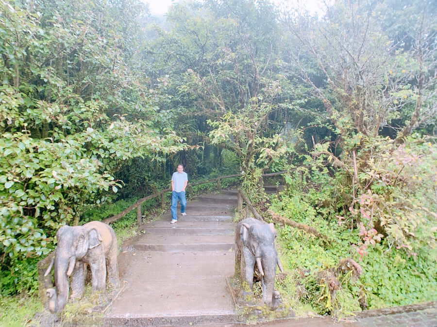 茵他濃國家公園-登山步道