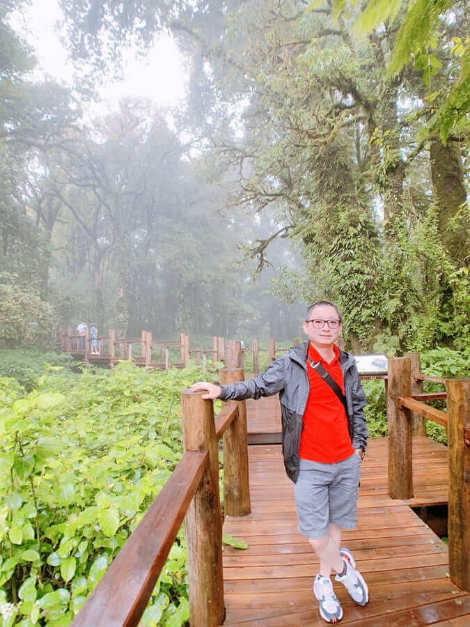 茵他濃國家公園-藻類+雨林