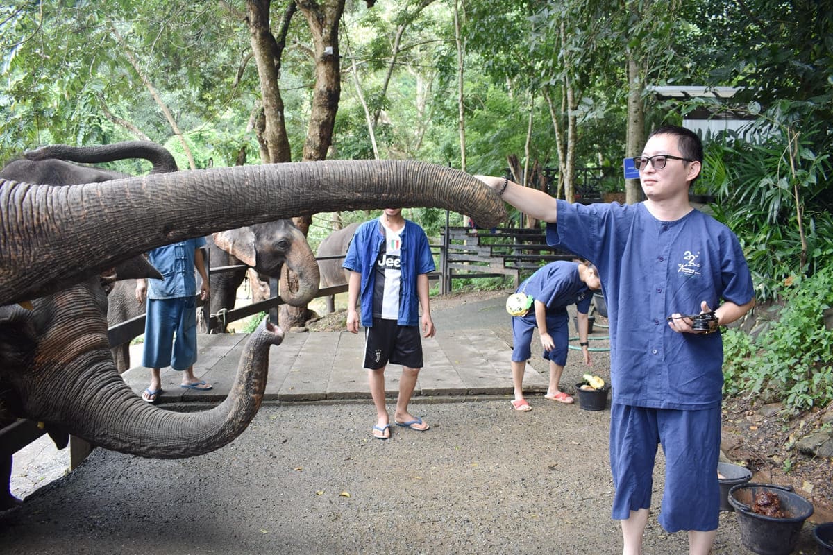 友善大象保育營HUG CHANG MAETENG ELEPHANT SANCTUARY