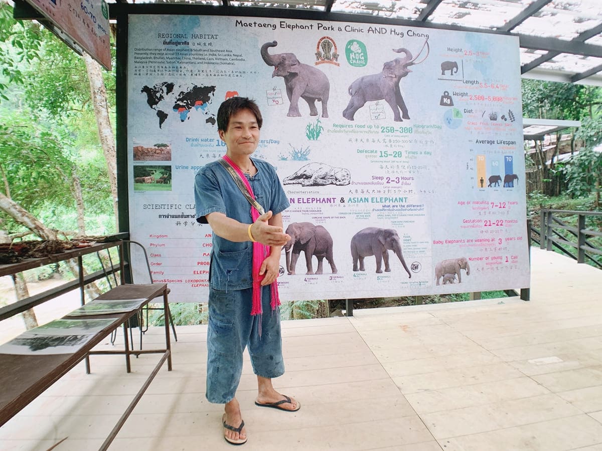 友善大象保育營HUG CHANG MAETENG ELEPHANT SANCTUARY象伕體驗活動介紹員介紹