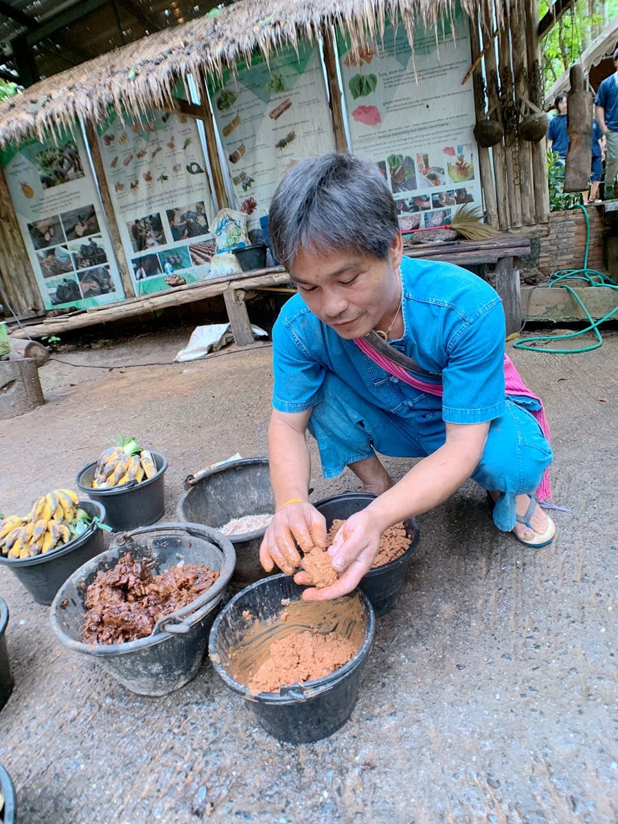 友善大象體驗營-藥草球製作搓揉酸角等藥材