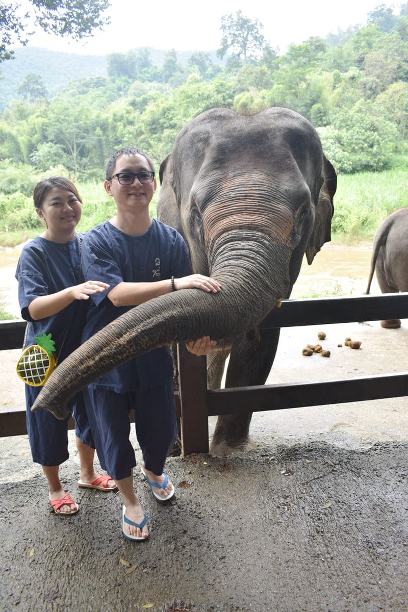 友善大象保育營HUG CHANG MAETENG ELEPHANT SANCTUARY象伕-跟大象抱抱