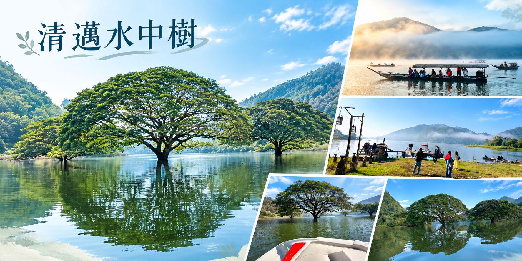 水中樹旅遊資訊 清邁旅遊
