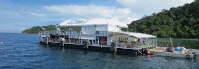 沙巴婆羅洲大堡礁世界Borneo Reef World
