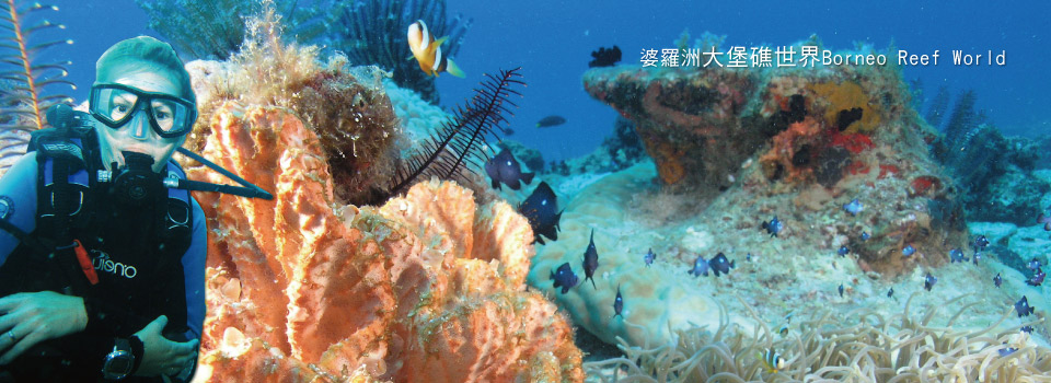 婆羅洲大堡礁世界Borneo Reef World