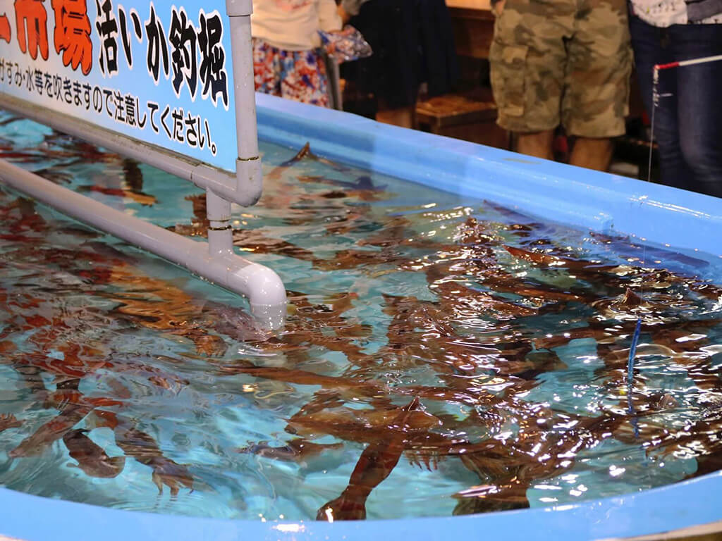 函館朝市必吃美食2：釣烏賊（活いか釣堀）