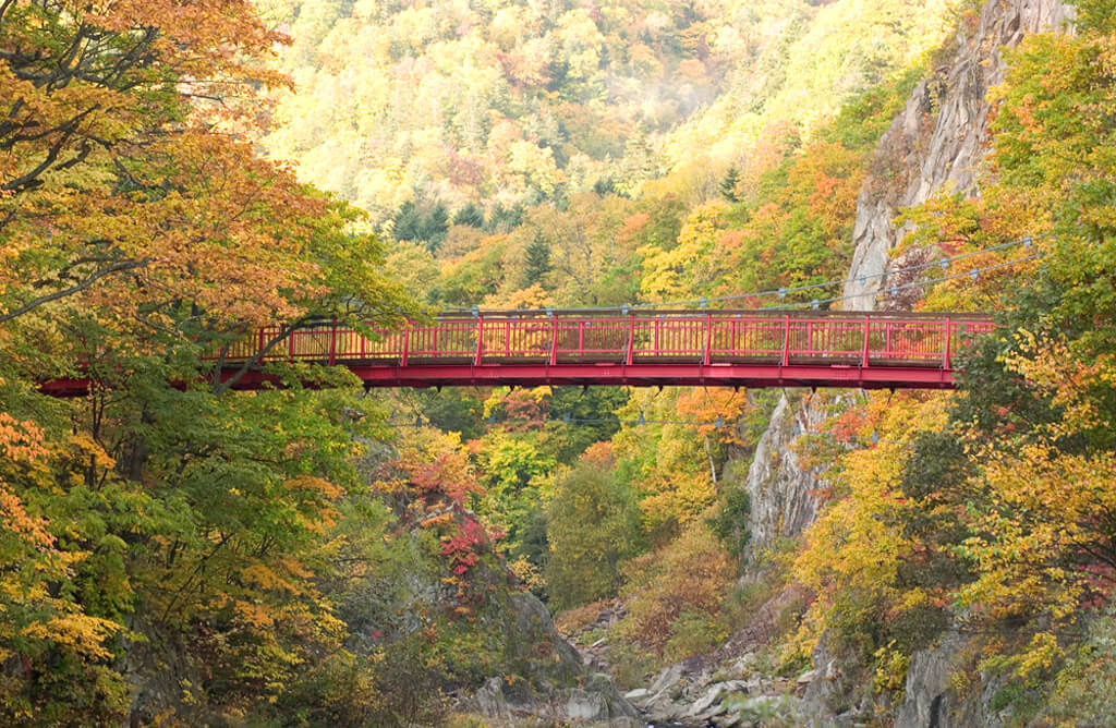 北海道旅遊：秋天景致