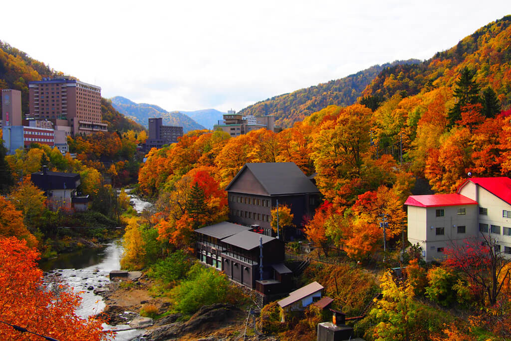 北海道旅遊：楓葉