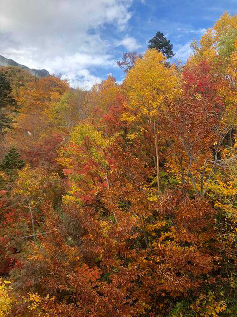 黑部立山(立山黑部)濃厚的秋意