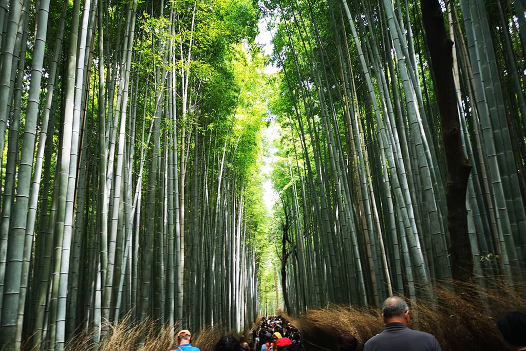 日本跟團有什麼好處