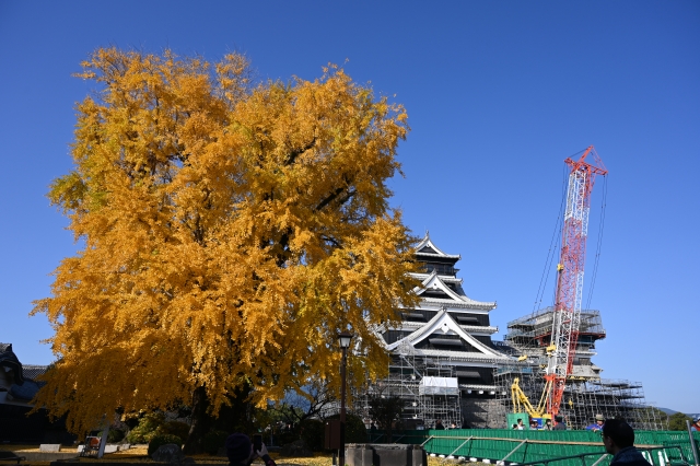 天守閣11月底是這裡最佳賞楓時候