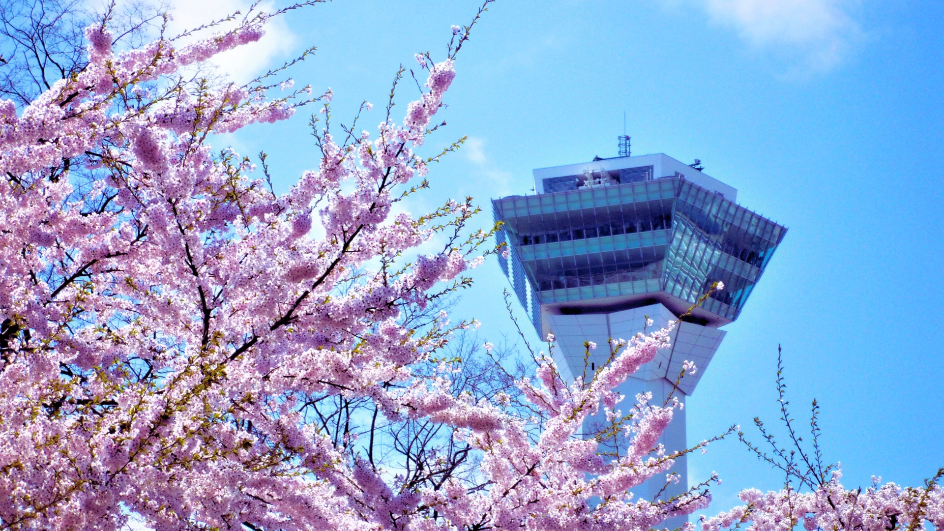 五稜郭公園