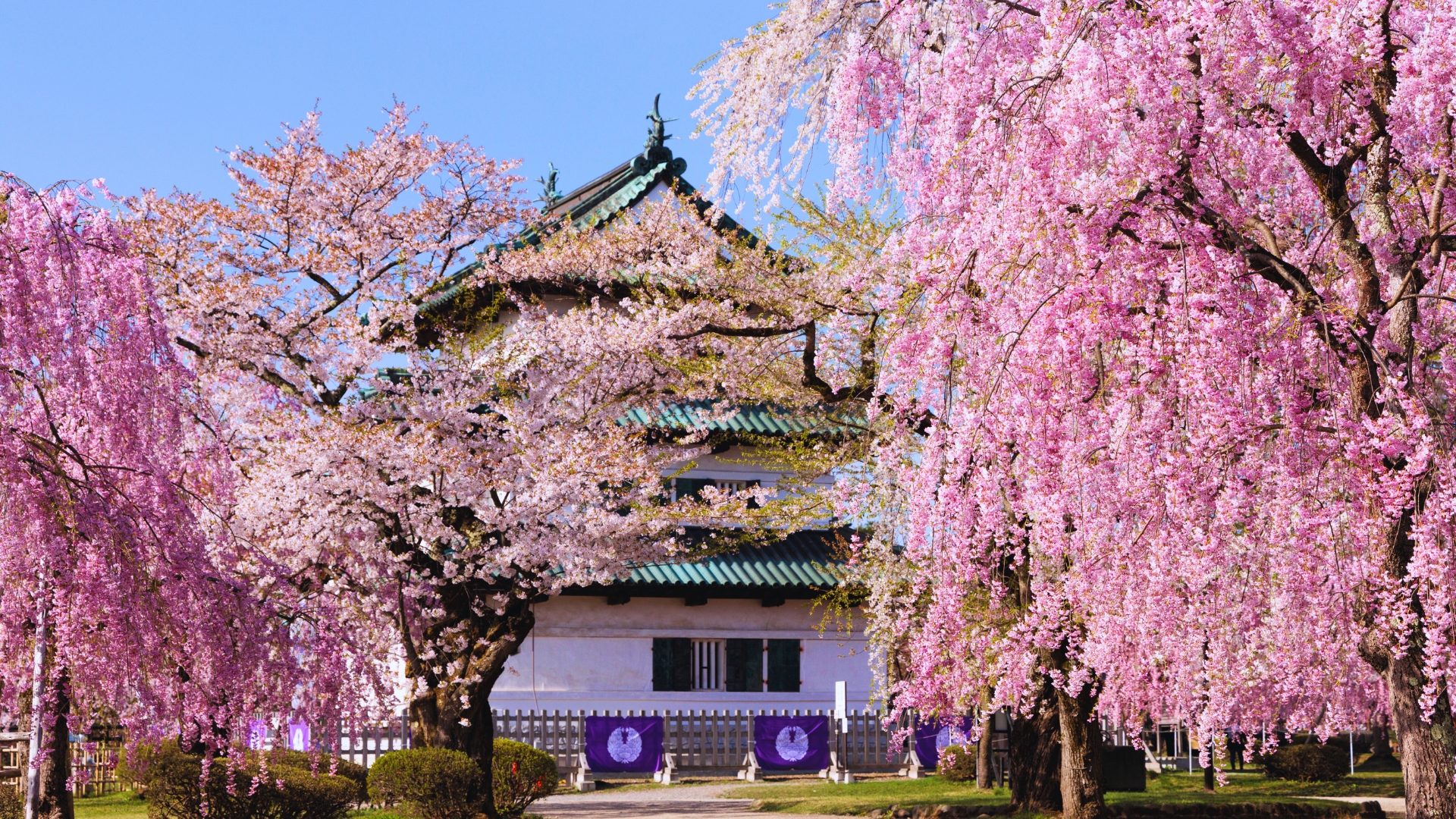 弘前公園