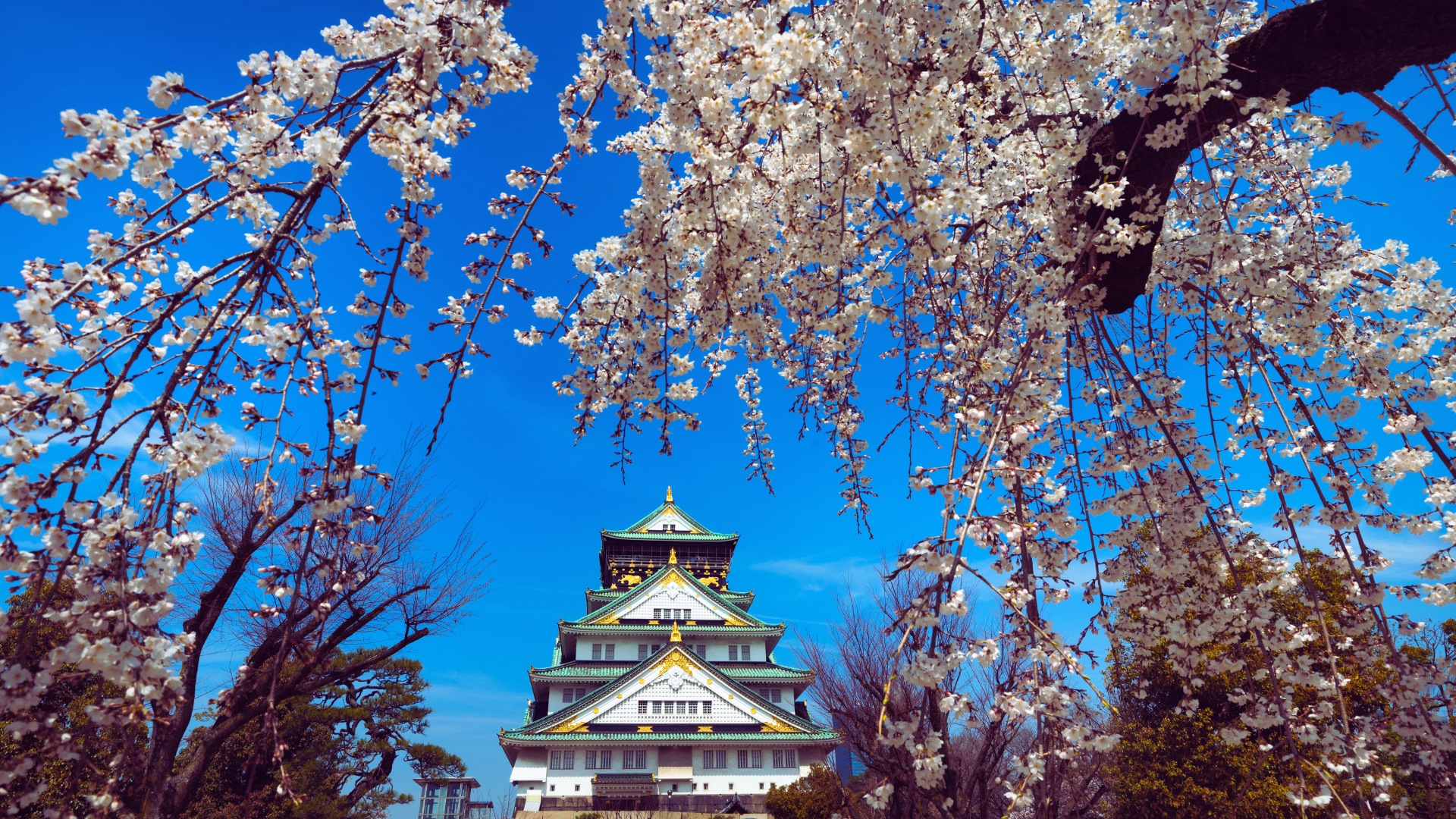 熊本城