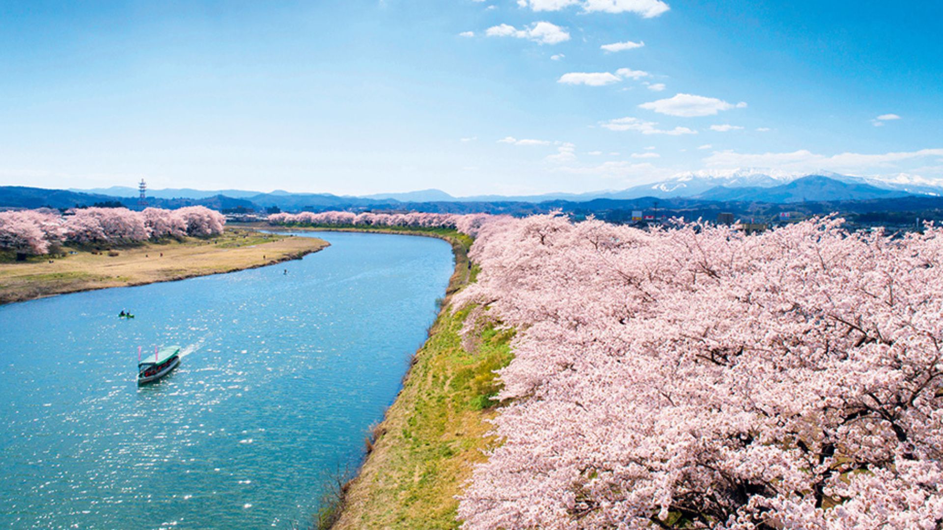 輕鬆賞櫻團櫻花秘境