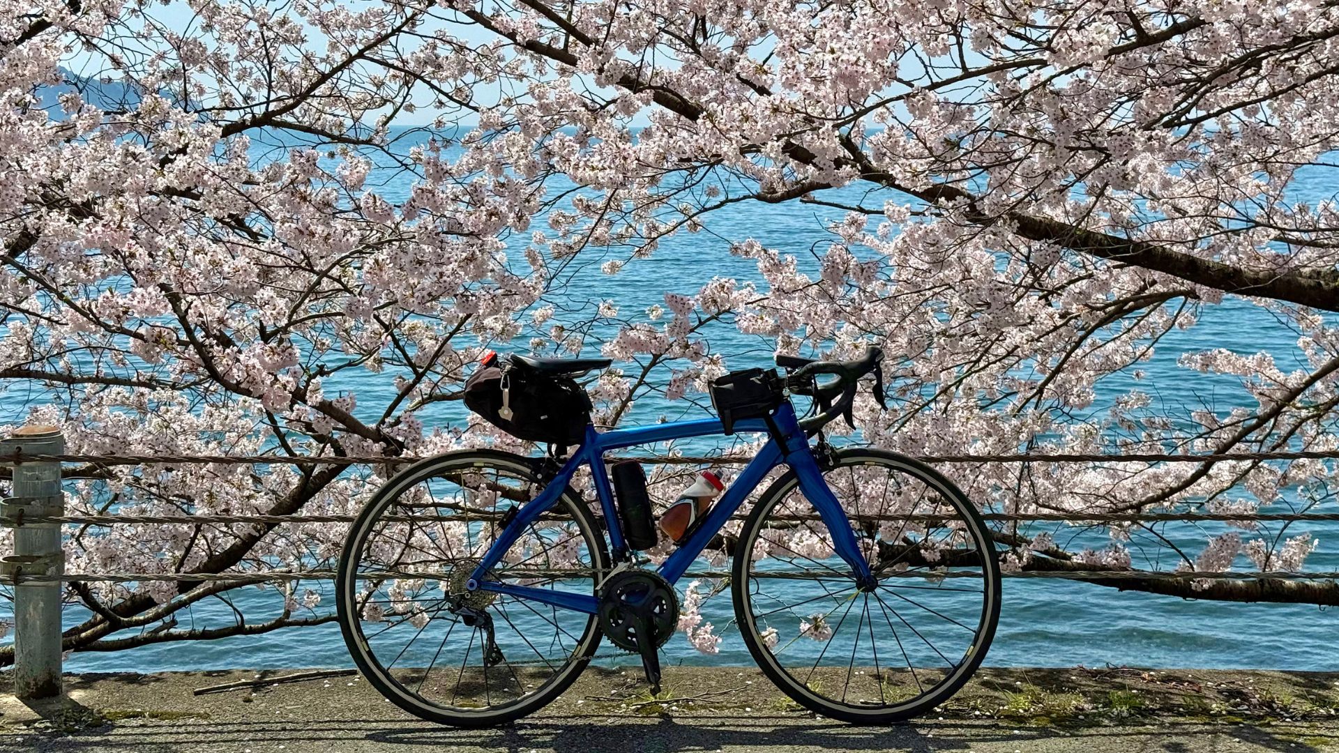 輕鬆賞櫻團櫻花秘境