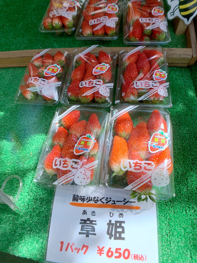 日本草莓-章姬-新潟旅遊