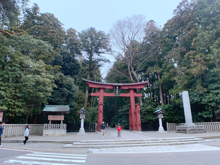 日本新潟-彌彥神社