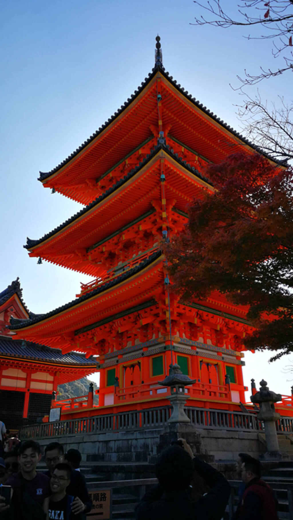 從仁王門走進來之後就會看到全日本最高三重塔，高達31公尺。