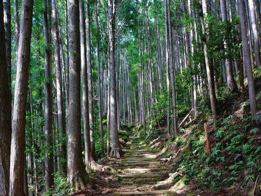 那智瀑布熊野古道