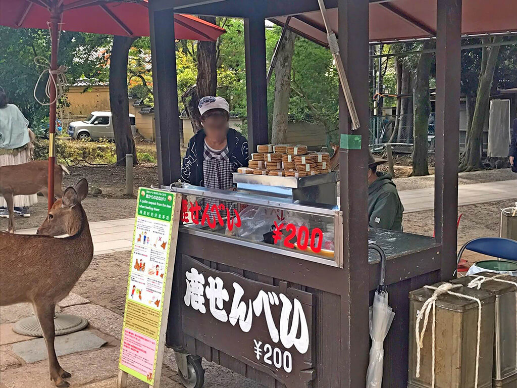 奈良鹿公園餵食注意：買鹿仙貝要低調