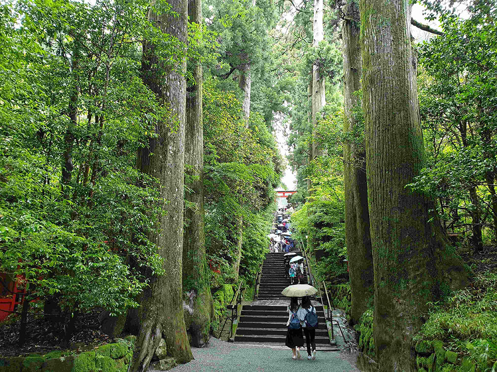 箱根神社面湖環山