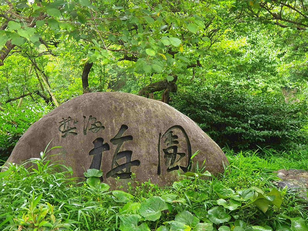 以號稱日本第一的早開梅花而著稱的熱海梅園