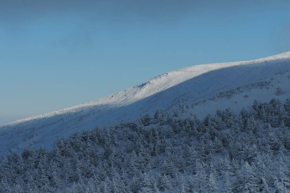 【山形縣】藏王樹冰｜絕美冰雪世界