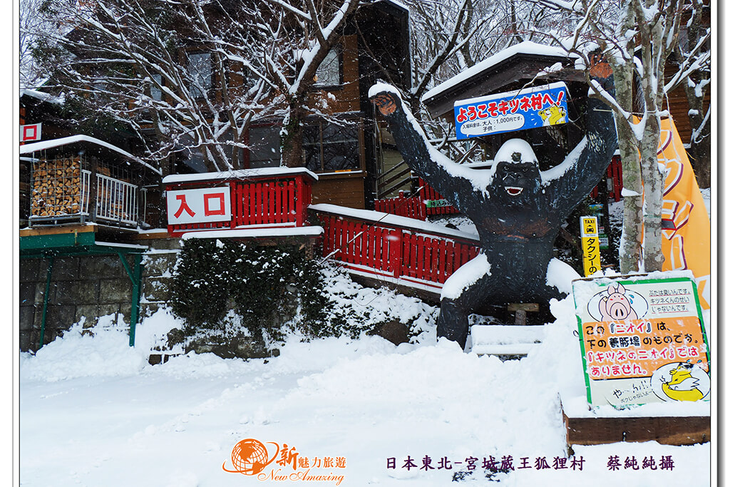 東北療癒系景點推薦-宮城藏王狐狸村，與100隻超萌狐狸近距離接觸